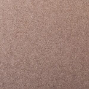Home IMG_9751